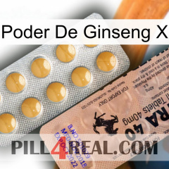 Ginseng Power X 41